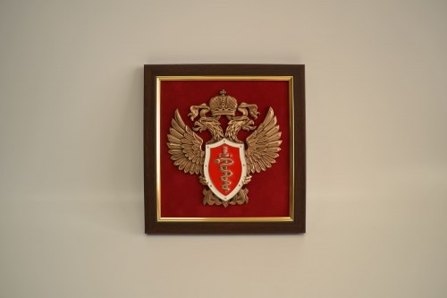 ПЛ-488