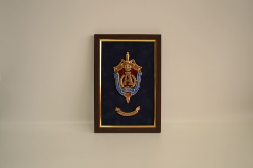 ПЛ-518